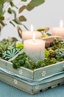 Arrangement de l'Avent dans une boîte en bois avec des bougies piliers sculptés et des plantes succulentes utilisées comme pièce maîtresse sur une table à manger.