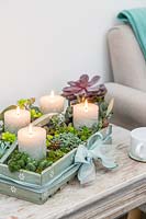 Arrangement de l'Avent dans une boîte en bois avec des bougies pilier sculpté et des plantes succulentes sur une table basse.