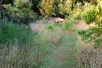 Chemin fauché à travers le jardin sauvage en été avec banc en bois au-delà