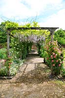 Pergola couverte de glycines et de roses dans le jardin clos historique