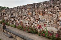 Mur de jardin construit à partir de différentes briques recyclées et ornements en pierre architecturale avec Centranthus ruber - valériane rouge, Hollande