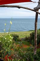 Vue vers la mer depuis un jardin de style cottage avec plantation informelle de Crocosmia et Alcea - Rose trémière