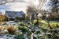 Vues générales du jardin de campagne tapissé de Galanthus - Snowdrop - dans la neige