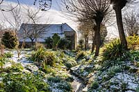Vues générales du jardin recouvert de Galanthus - Snowdrop - dans la neige