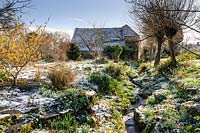 Vues générales du jardin recouvert de Galanthus - Snowdrop - dans la neige