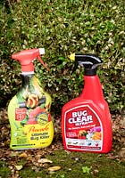 Pesticides provado et Bug Clear Ultra pour lutter contre Cydalima perspecalis, teigne du buis