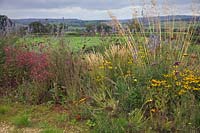 Plantations naturalistes sur un site agricole exposé dans le Devon.