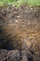 Vérification du profil du sol en creusant un trou d'inspection. Étape 5 montrant la fosse finale révélant des couches de terre végétale, de sous-sol et de sous-sol