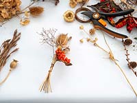 Préparé des fleurs séchées et des têtes de graines pour les arrangements de Noël, d'automne et d'hiver.