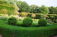 Buxus sempervirens - Boîte - haie et demi-boules standard dans le jardin topiaire.