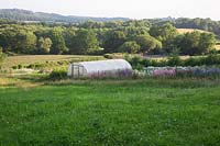Le jardin de coupe et le polytunnel situé dans les prés avec vue sur le Sussex.