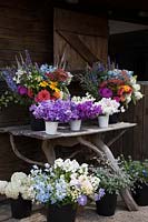 Atelier de Zelie avec des seaux de fleurs prêtes pour les compositions florales de mariage, y compris les pois de senteur, les dahlias, l'agastache, l'hortensia et l'achillée.