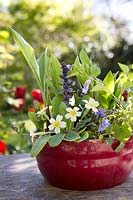 Pot de printemps ombragé avec, Lily of the Valley - Convallaria majalis, Bugle - Ajuga reptans, Sweet Violets - Primula vulgaris et Primrose - Viola odorata