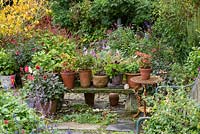Pots de géraniums, fuchsias et dahlias sur banc en pierre dans le jardin de chalet.