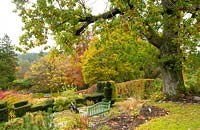 La vue depuis une terrasse en pierre sur topiaire Taxus baccata, Fagus sylvatica haie et feuillage d'automne sur les chênes à High Moss, Portinscale, Cumbria, Royaume-Uni