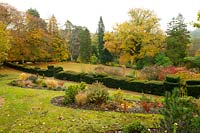 Élaborer topiaire if Taxus baccata entouré de feuillage d'automne dans le jardin à High Moss, Portinscale, Cumbria, Royaume-Uni