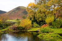 Un étang entouré de monticules de mousse, de Nympahaea zenkeri et de sycomores. Une vue vers la langue dans le nord des collines à Chapelside, Mungrisdale, Penrith, Cumbria, Royaume-Uni