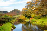 Des monticules de mousse autour d'un étang entouré de feuillage d'automne sur les sycomores et une vue sur la langue sur les collines du nord