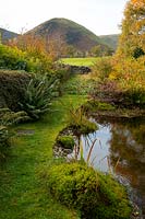 Un étang entouré de monticules de mousse et de feuillage d'automne avec vue sur la langue dans les collines du nord