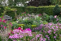 Le jardin carré, planté avec une palette de couleurs rose et blanche de roses, phlox, dahlias, verveine, cosmos et grande vergerette. Au centre, rectangles de boîte et Pennisetum villosum.