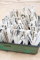 Étiquettes de plantes de cultivar Canna dans un bac