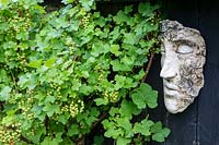 Face en céramique montée sur bois près d'arbuste fruitier