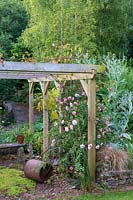 Pergola couverte de roses avec rouleau à gazon dans un jardin de cottage