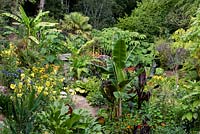Vue vers le bas dans un jardin situé dans une vallée escarpée ou combe avec son propre microclimat abrité qui permet aux plantes exotiques tendres de s'épanouir
