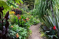 Vue d'un chemin à travers un jardin situé dans une vallée escarpée, avec son propre microclimat abrité qui permet aux tendres plantes exotiques de s'épanouir.