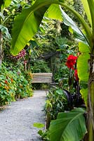 Un chemin menant à un banc dans un jardin subtropical.