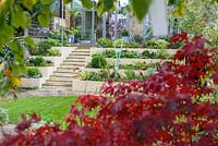 Jardin de ville à faible entretien - parterres de fleurs et escaliers en escalier, Acer palmatum 'Bloodgood'
