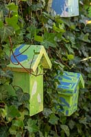 Niches à oiseaux peintes sur Hedera - Ivy - clôture couverte