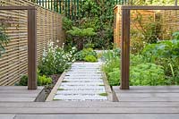 Vue sur petit jardin moderne à Londres avec Dicksonia antarctica et hangar en bois, par Earth Designs.