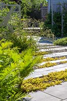 Écrans décoratifs en aluminium à revêtement en poudre entourés de plantations dans un jardin moderne au nord de Londres par Earth Designs.