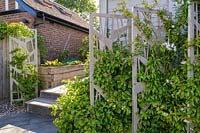 Les écrans décoratifs supportent l'escalade de l'Hydrangea anomala subsp. petiolaris dans un jardin moderne au nord de Londres par Earth Designs.
