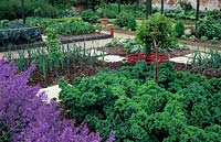 Vue sur les bordures végétales avec Allium cepa - Oignon - et Brassica oleracea acephala - Curly Kale
