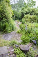 Un motif circulaire de pierres incrustées à la jonction des chemins dans un jardin de cottage en juin entouré de houx standard, de buis, de fougères et de campanules.