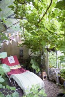 Serre utilisée comme maison d'été ombragée avec vigne et chaise longue dans un jardin de cottage en juin