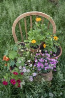 Pots de fleurs sur une chaise en bois dans l'herbe haute