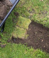 Réparer une tache sur la pelouse avec des carrés de gazon