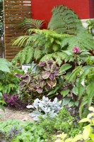 Jardin de cottage de style contemporain montrant une variété de plantes à feuillage coloré
