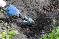 Utiliser une truelle pour faire un trou de plantation dans le sol