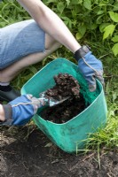 Utiliser une truelle pour ajouter de la matière organique bien décomposée dans un trou de plantation