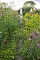Jardin de tourbière avec obélisque. Plantation mixte avec Althea officinalis, Osmunda regalis, Canna x et Lythrum salicaria.