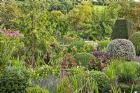 Jardin informel avec topiaire taillé : Taxus - If, Buxus - Box, Hebe et Pittosporum. Lavandula angustifolia, Calendula officinalis et Verbena bonariensis en premier plan.
