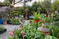 Petit jardin londonien au printemps avec collection de tulipes avec Fritillaria imperialis 'William Rex'