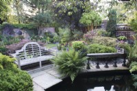 Jardin clos avec parterres mixtes avec plantation de conifères, fougères, Acer, Phyllostachys et Azalée. Coin salon près de l'étang