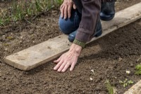 Recouvrir les graines de terre
