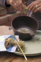 Nettoyer et conserver les graines d'Allium - Oignons. - à l'aide d'un tamis domestique pour enlever les balles