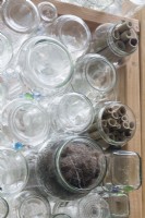 Les matériaux de nidification pour les oiseaux sont nichés dans des bocaux en verre tournés vers l'extérieur dans des murs de serre recyclés. Des morceaux de bambou offrent un habitat aux insectes pollinisateurs